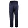 Pantalon de travail retardateur de flamme PISA SINGER vue dos